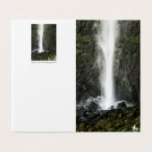 Esprit du bassin (Outside Unfolded)