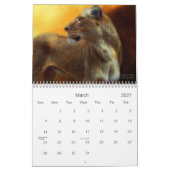 Esprit du sauvage - calendrier des lions 2010 (Mar 2027)