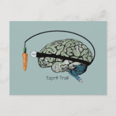 Esprit trail briefkaart (Voorkant)