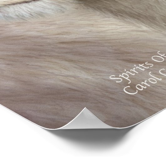 Esprits De Lumière - Poster D'Art Lion Blanc / Imp (Coin)