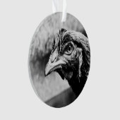 esprits et poulets (devant)