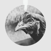 esprits et poulets (dos)
