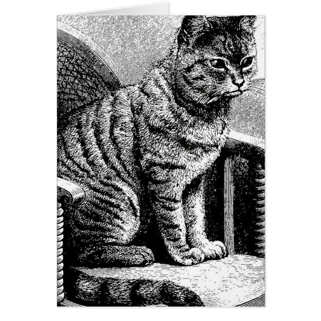 esquisse de chat (Devant)