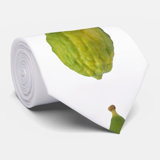 Esrog - Etrog Stropdas (Opgerold)