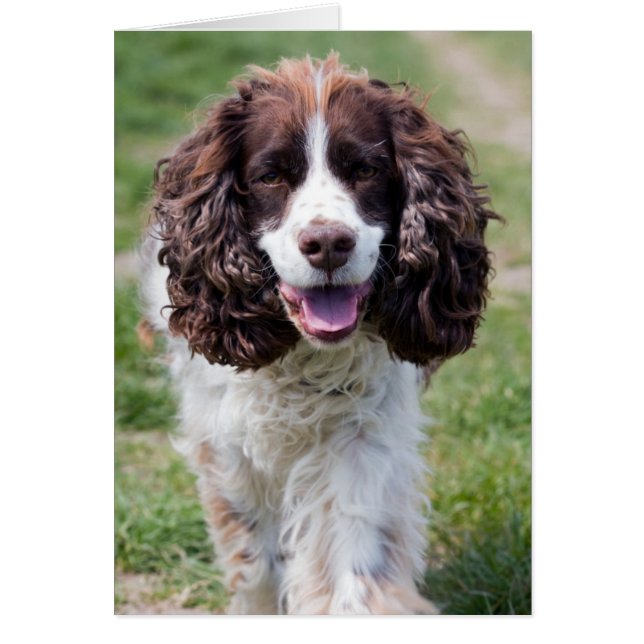 ess walking.png (Devant)