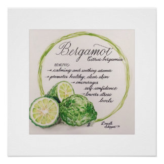 Essential Oil Waterverf Print - Bergamot Perfect Poster
