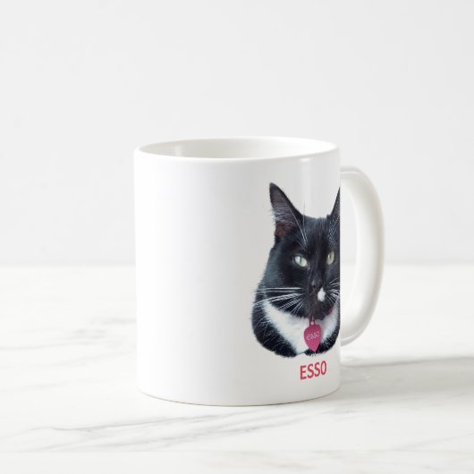 Esso Cat Mok (Voorkant rechts)