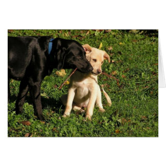 Est-ce qu'Awww… je dois partager ?