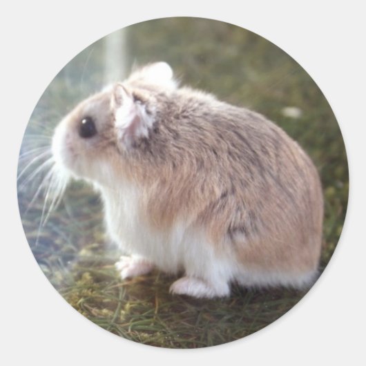 'Est-ce une abeille ? ' - Sticker Tac (Devant)