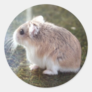 "Est qu'une abeille ?" - Autocollant de Tac