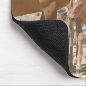 Estelle & Eclipse Muismat (Hoek)