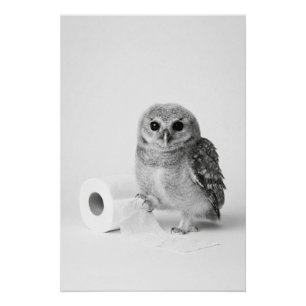 Esthetische Minimalistische Babyuil met Toiletpapi Perfect Poster