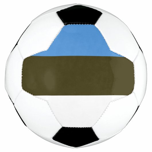estonie (Devant)
