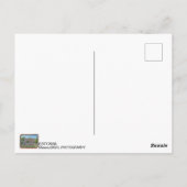 Estonie, carte postale de Viljandi ! (Dos)