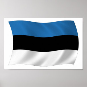 estonienne Affiche du drapeau