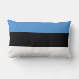 Estse vlag kussen