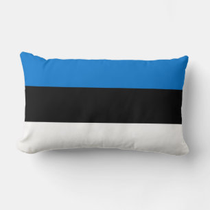 Estse vlag kussen