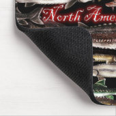 Esturgeon de tapis de souris de l'Amérique du Nord (Coin)