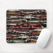 Esturgeon de tapis de souris de l'Amérique du Nord (Avec souris)