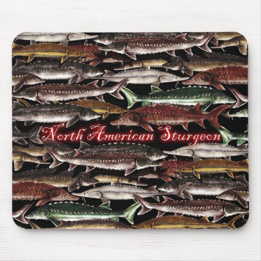 Esturgeon de tapis de souris de l'Amérique du Nord (Devant)