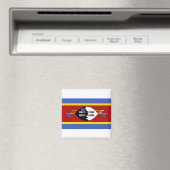 Eswatini Flag Magneet (Insitu (Vaatwasser))