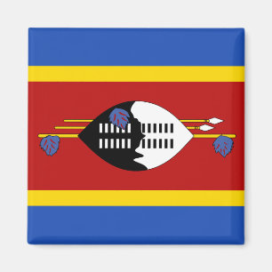 Eswatini Flag Magnet Magneet