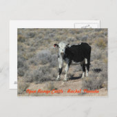 ET carte postale du Nevada de bétail de route (Devant / Derrière)