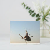 Et s'assit une carte postale d'araignée (Debout devant)