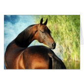 étalon d'Akhal-teke (Devant horizontal)