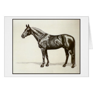 Étalon de Trakehner