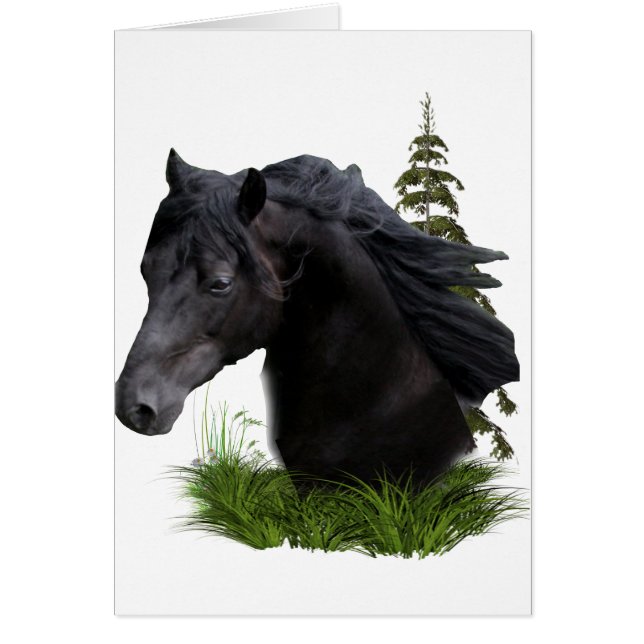 étalon.final (Devant)