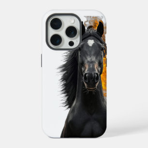 Étalon noir inferno