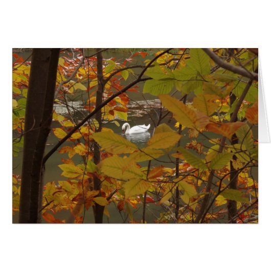 Étang d'automne avec cygne (Devant horizontal)