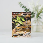 Etang de cascade Port Charlotte FL Carte postale (Debout devant)