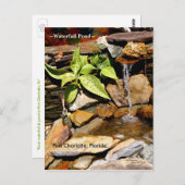 Etang de cascade Port Charlotte FL Carte postale (Devant / Derrière)