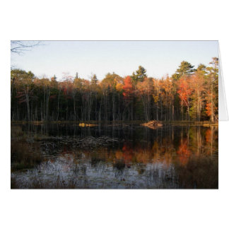 étang de castor du New Hampshire à l'automne