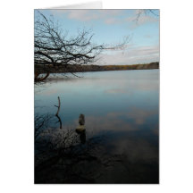 Étang de réflexion