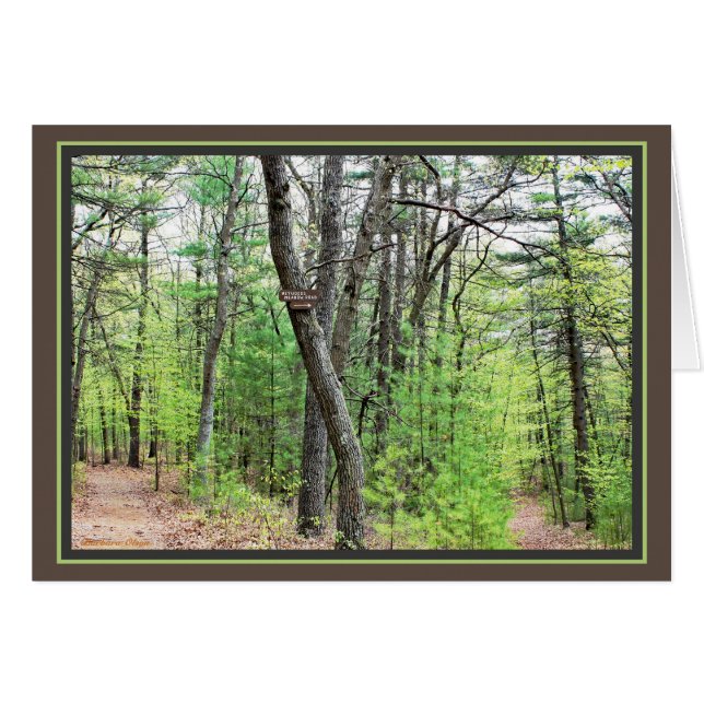 Étang de Walden : Se promener d'un pas nonchalant (Devant horizontal)