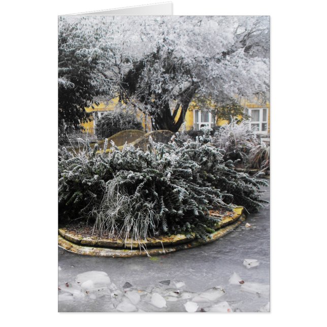 Etang gelé un matin d'hiver (Devant)