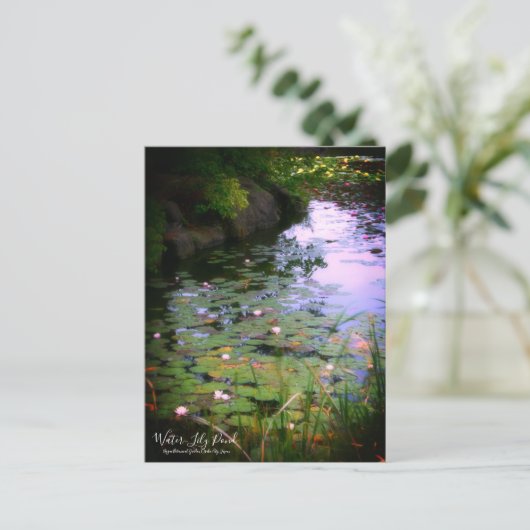 Etang Lily : Carte postale (Debout devant)