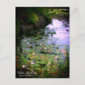 Etang Lily : Carte postale (Devant)
