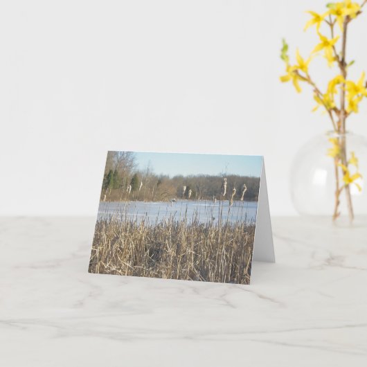 Étang Skymount dans la carte de note de glace (Fleur jaune)