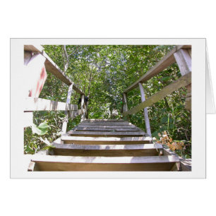 Étapes de Chambre verte