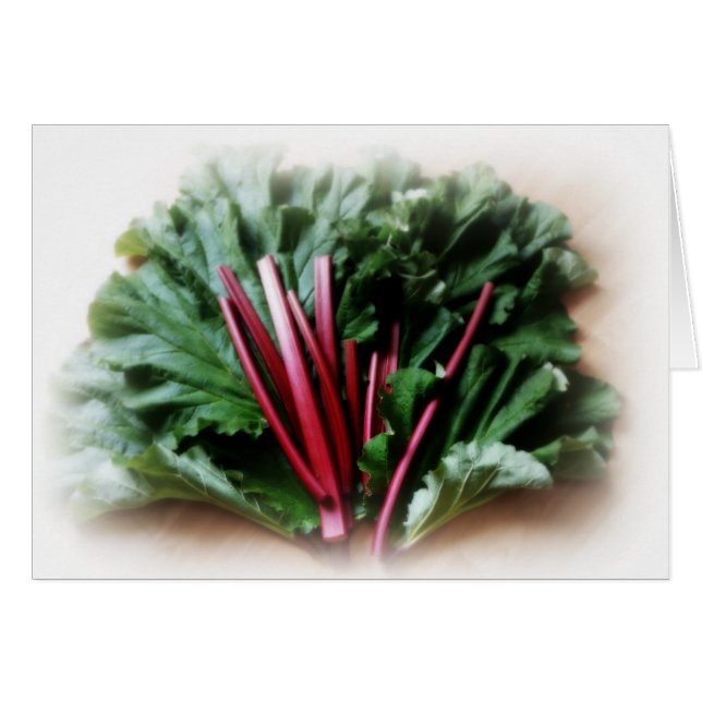 Étapes Rhubarb fraîches et Feuille (Devant horizontal)