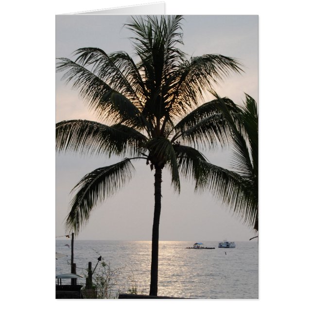 État hawaïen (Devant)