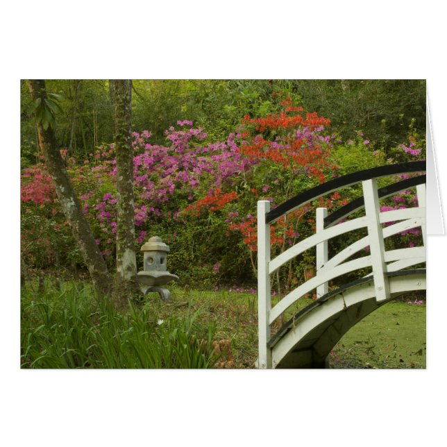 États-Unis; Caroline du Sud; Charleston; 5 (Devant horizontal)