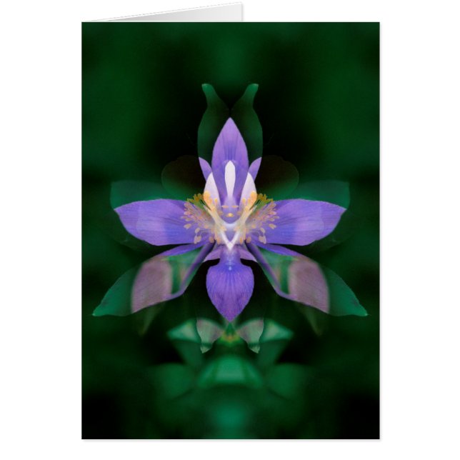 États-Unis, Colorado, comté de Boulder (Devant)