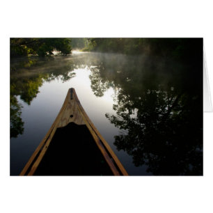 États-Unis, Floride, Forêt nationale d'Ocala, Alex