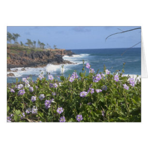 États-Unis, Hawaï, Kauai, près de Kapaa, nord-oues