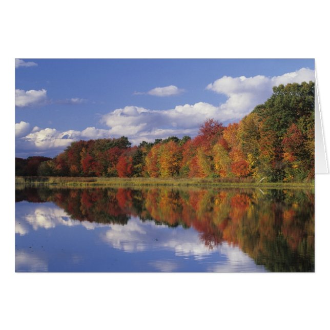 États-Unis, Massachusetts, Acton. Reflet de l'auto (Devant horizontal)
